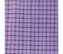 roxo zoom 