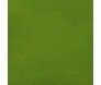 VERDE-MUSGO-CLARO