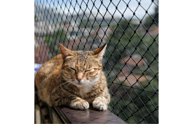 Tela Segurança Preta 1.40x01 Metros Proteção Janela Sacadas