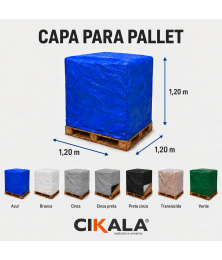 PAI 1