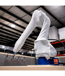 magote-braco-robotico 1