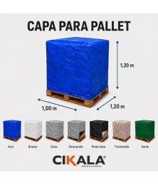 PAI 1