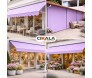 4 lona DF toldo lila´s