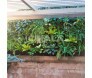 Parede com jardim real instalado	