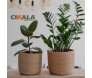 anúncio corda sisal utilização 12mm