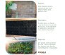Transformacao da parede com jardim	