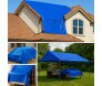 CK300 AZUL 4