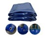 TATAME AZUL 2