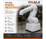 ROBOS INDUSTRIAIS