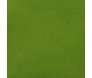 VERDE-MUSGO-CLARO