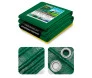 CK300 VERDE 3