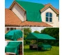 CK300 VERDE 5
