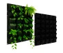 Painel de feltro com plantas