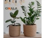 anúncio corda sisal utilização 12mm