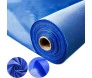 AZUL 1