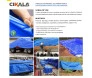 CK300 AZUL 2