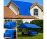 CK300 AZUL 4