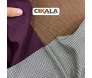 Foto com Logo