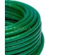 mangueira verde 03